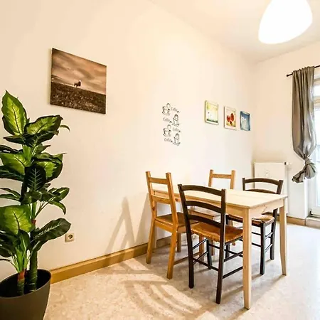 Wohnen Im Altbau In Der Leipziger Sudvorstadt - Direkt An Der Karli Leipzig